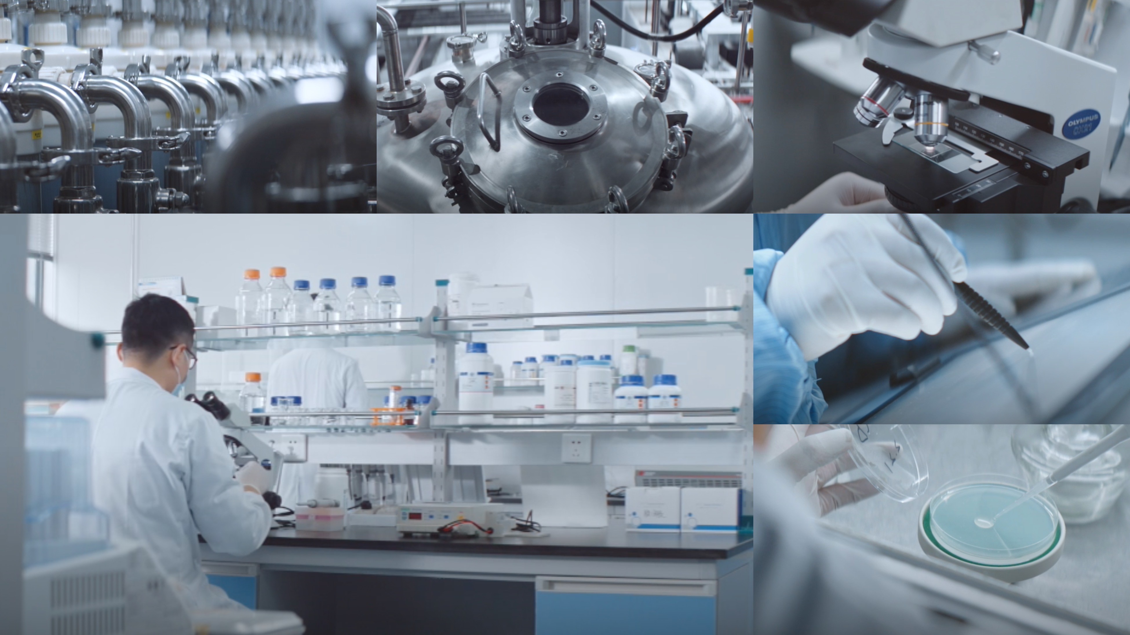 j9.com医疗重组XVII型胶原荣获个人护理品行业荣格技术创新奖