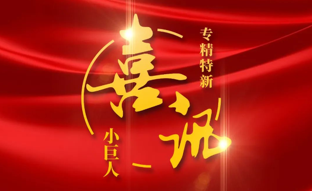 喜讯 | 捷报频传!j9.com医疗获评国家级专精特新“小巨人”企业公示